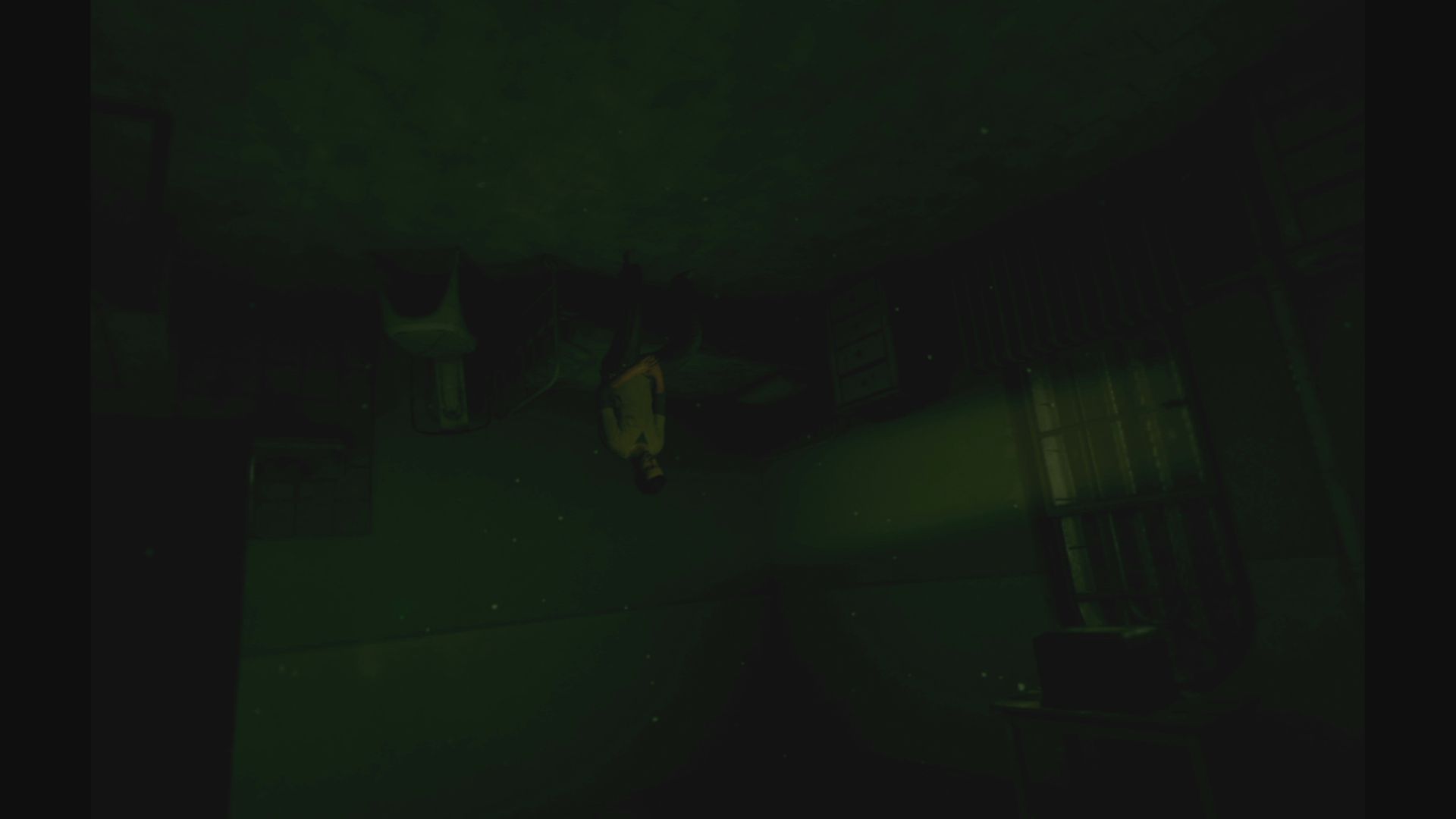 The Inpatient